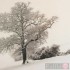 Card - Landscape in Winter