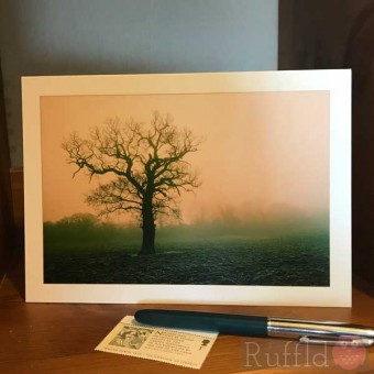 Card - Oak in the Fog