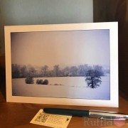 Card - Snow in the Fields at Swaines Green