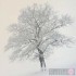 Card - Solitary Oak in Winter