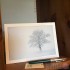 Card - Solitary Oak in Winter