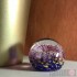 Paperweight - Salsa Collection - Round Glass in Cobalt and Pink Design