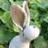 Ceramic Individually designed Small Hare - Ears Up